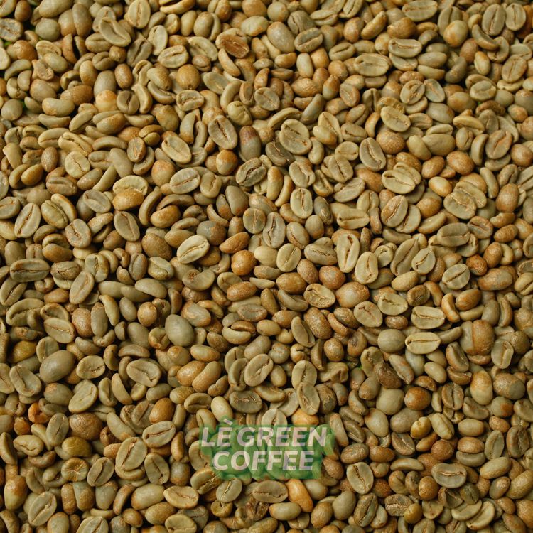 Arabica Kerinci Natural Lactic