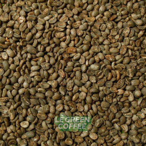 Arabica Flores Full Wash