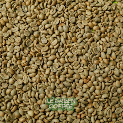 Arabica Kerinci Anaerob Full Wash