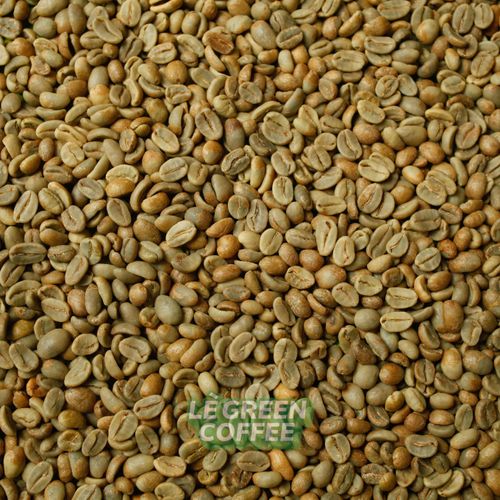 Arabica Kerinci Natural Lactic