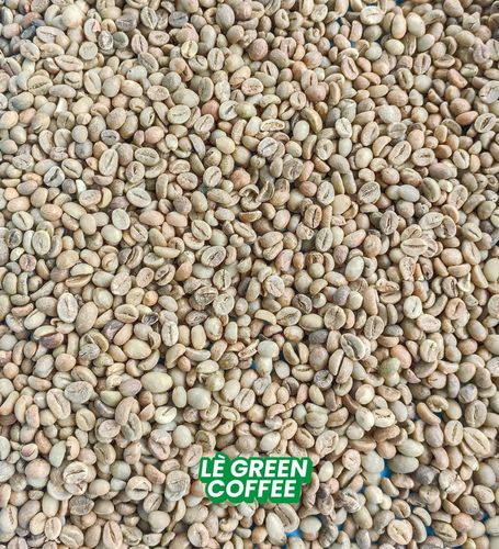 Robusta Asalan Temanggung