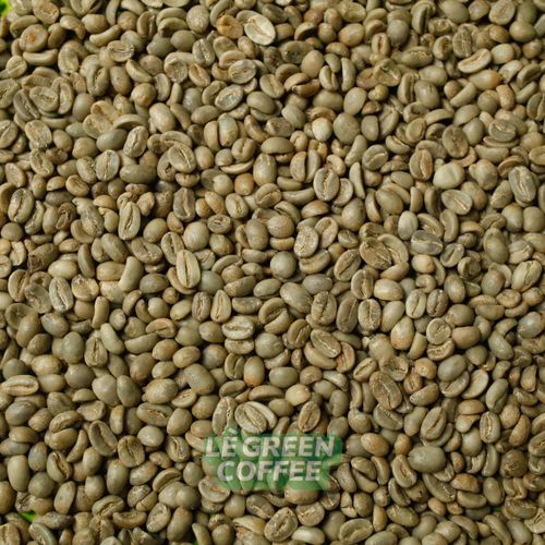 Arabica Trawas Full Wash 