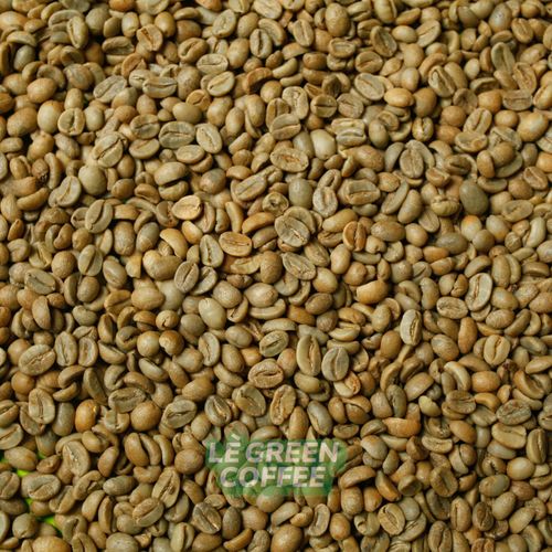 Arabica Trawas Natural Anaerob